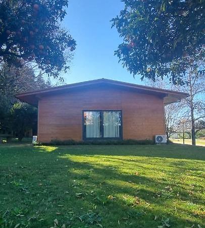 Faldejaes Casa Da Ferreirinhaゲストハウス エクステリア 写真