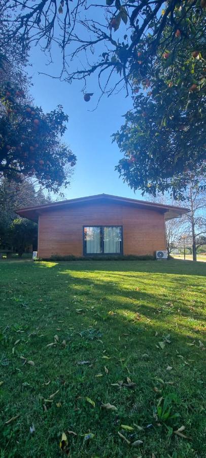Faldejaes Casa Da Ferreirinhaゲストハウス エクステリア 写真